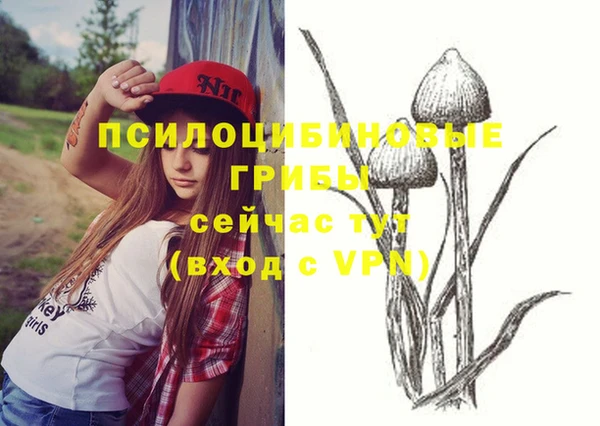 молекула духа Абдулино