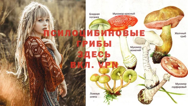 стаф Алексеевка